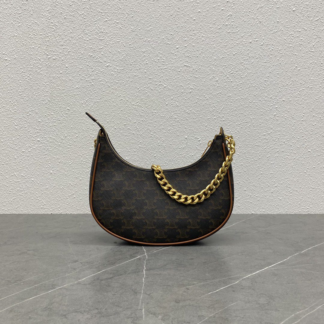 Celine Medium Ava Chain In Triomphe Canvas Tan For Women 10in/25cm 199582BZJ.04LU