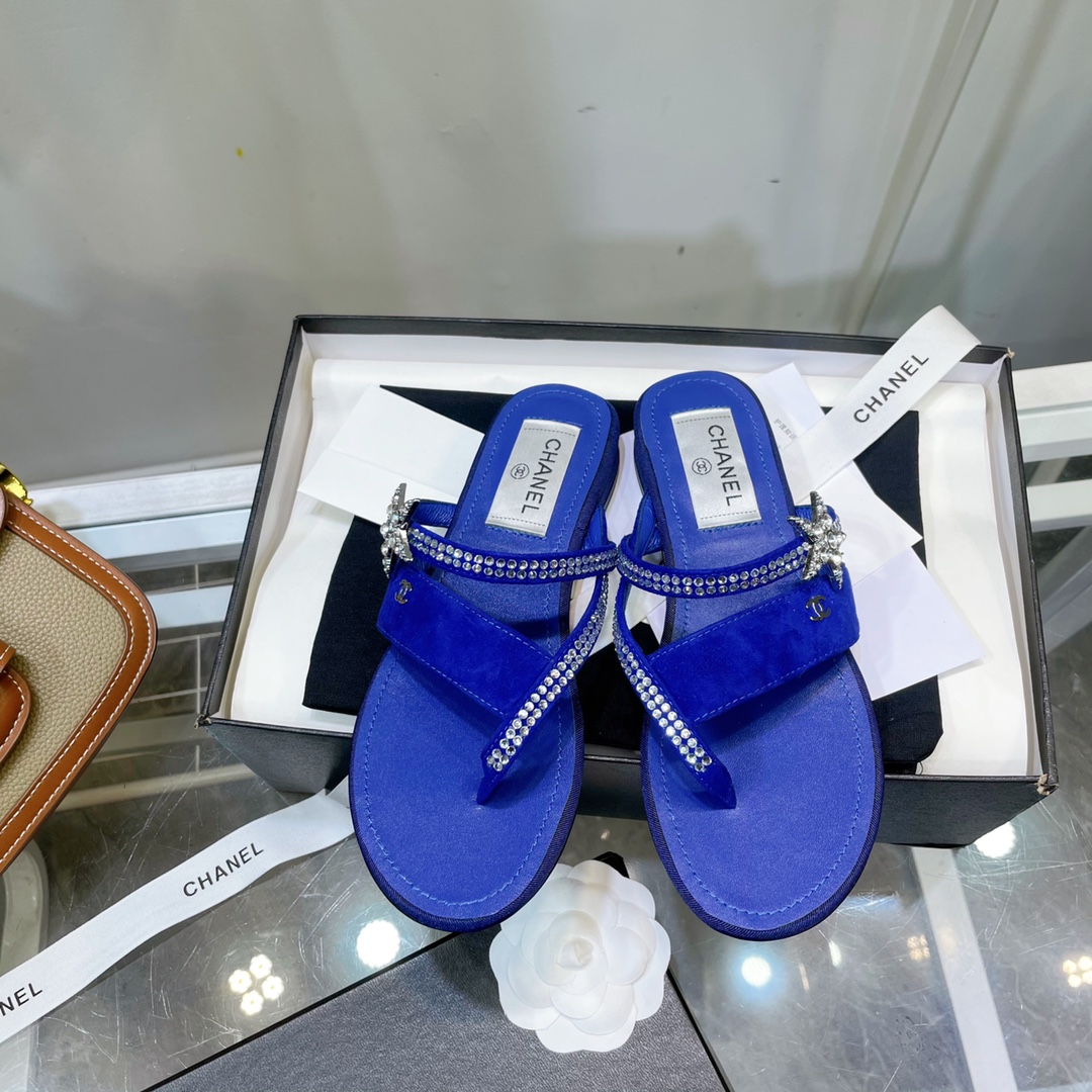 Chanel Sandals Blue For Women, Women’s Shoes