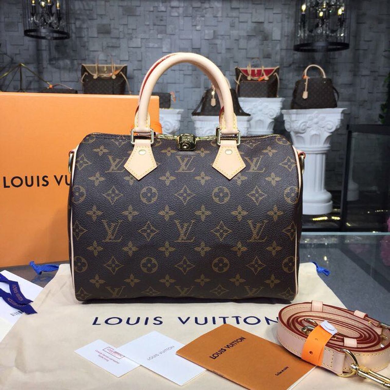 Louis Vuitton Speedy 25 Monogram Canvas For Women, Women’s Handbags 9.8in/25cm LV M41109