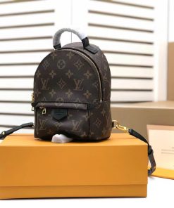 Louis Vuitton Palm Springs Mini Monogram Canvas For Women, Women’s Handbags, Women’s Backpack 6.7in/17cm LV M44873