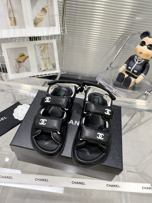 den-4-6.jpg